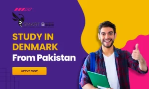 Study in Denmark from Pakistan