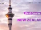Best Course to Study in New Zealand