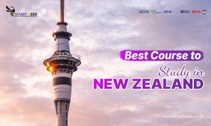Best Course to Study in New Zealand Guide