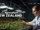 Study Agriculture in New Zealand