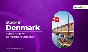 Scholarship in Denmark for Bangladeshi Student - Mini